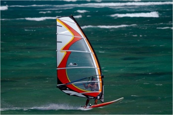 2011 Pursuit  &copy; Bogo