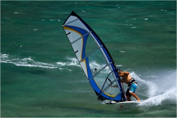 2011 Pursuit  &copy; Bogo