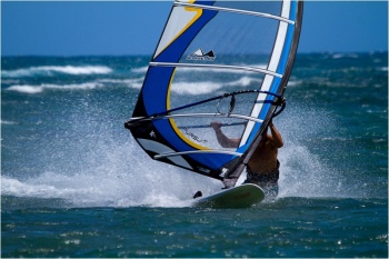 2011 Pursuit  &copy; Bogo
