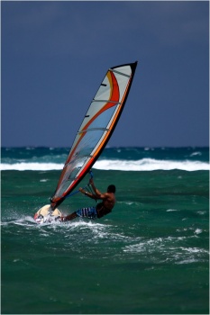 2011 Pursuit  &copy; Bogo