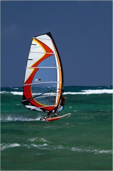 2011 Pursuit  &copy; Bogo